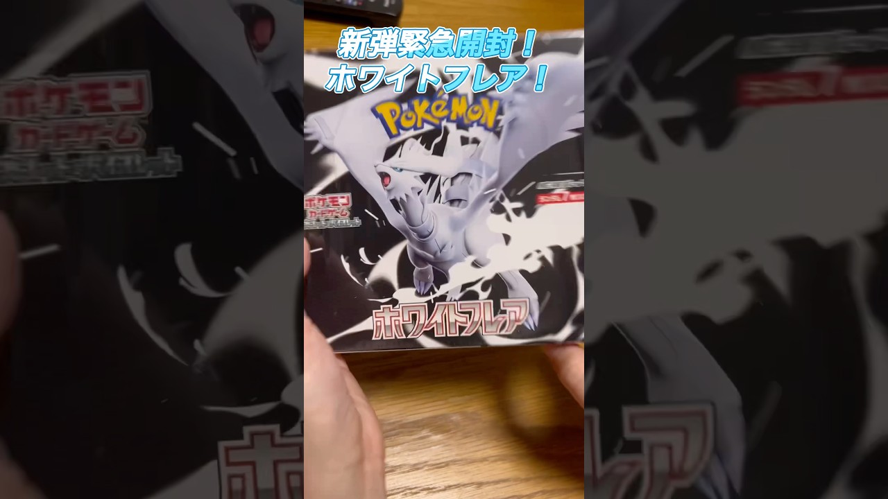 来たぞ新弾❗️ホワイトフレアからレシラムを狙います‼️#ポケカひな #トレカひな #ポケカ #ポケカ開封 #ポケカ女子 #pokemon #pokemoncards #ホワイトフレア #ポケカ新弾