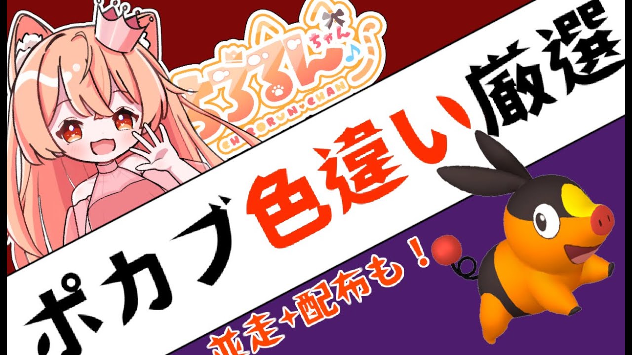 いい証が出ないので続行です👑ポカブの色違い出たら配布！🐈ZAに向けて色違いポカブ厳選しよ！🦕【ポケモンSV】