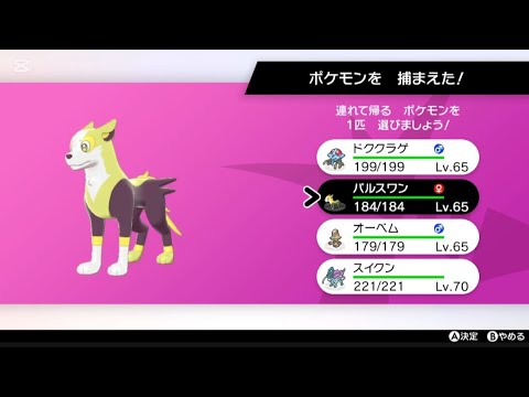 色違いパルスワン