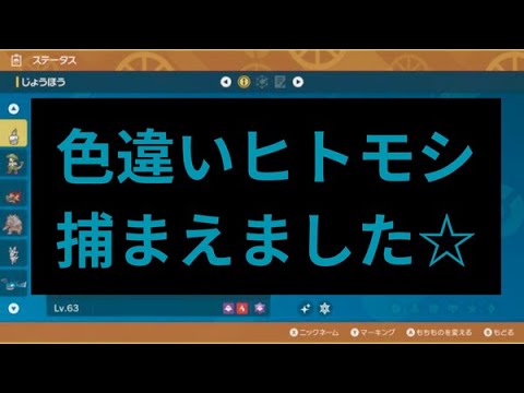 ★色違いヒトモシ捕まえました★