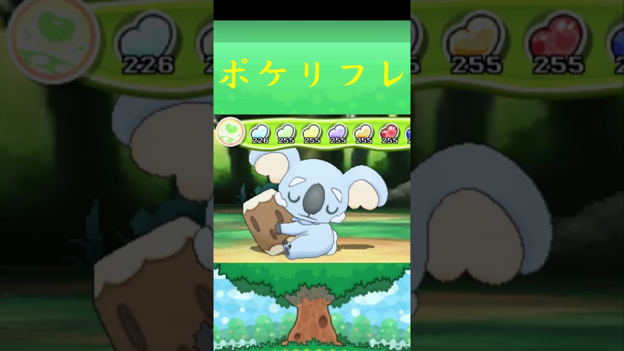 ネッコアラ*ポケモン ポケリフレ ポケパルレ #ポケモン #Pokemon  #3DS #nintendoswitch #ポケモンsv #ポケモン #キャンプ #サンドイッチ #ピクニック