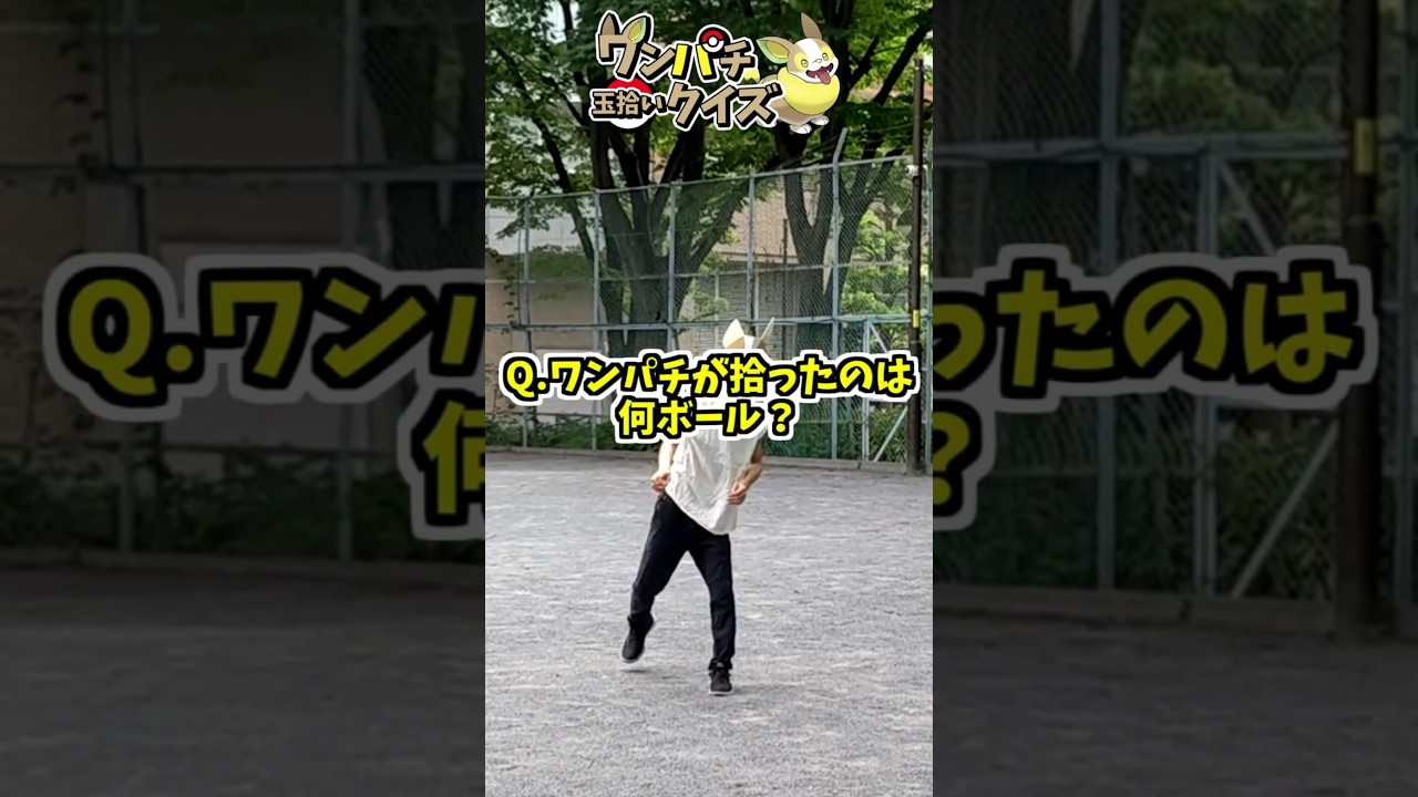 ワンパチの拾ったボールが何か分かる？【 ポケモン クイズ 】#shorts