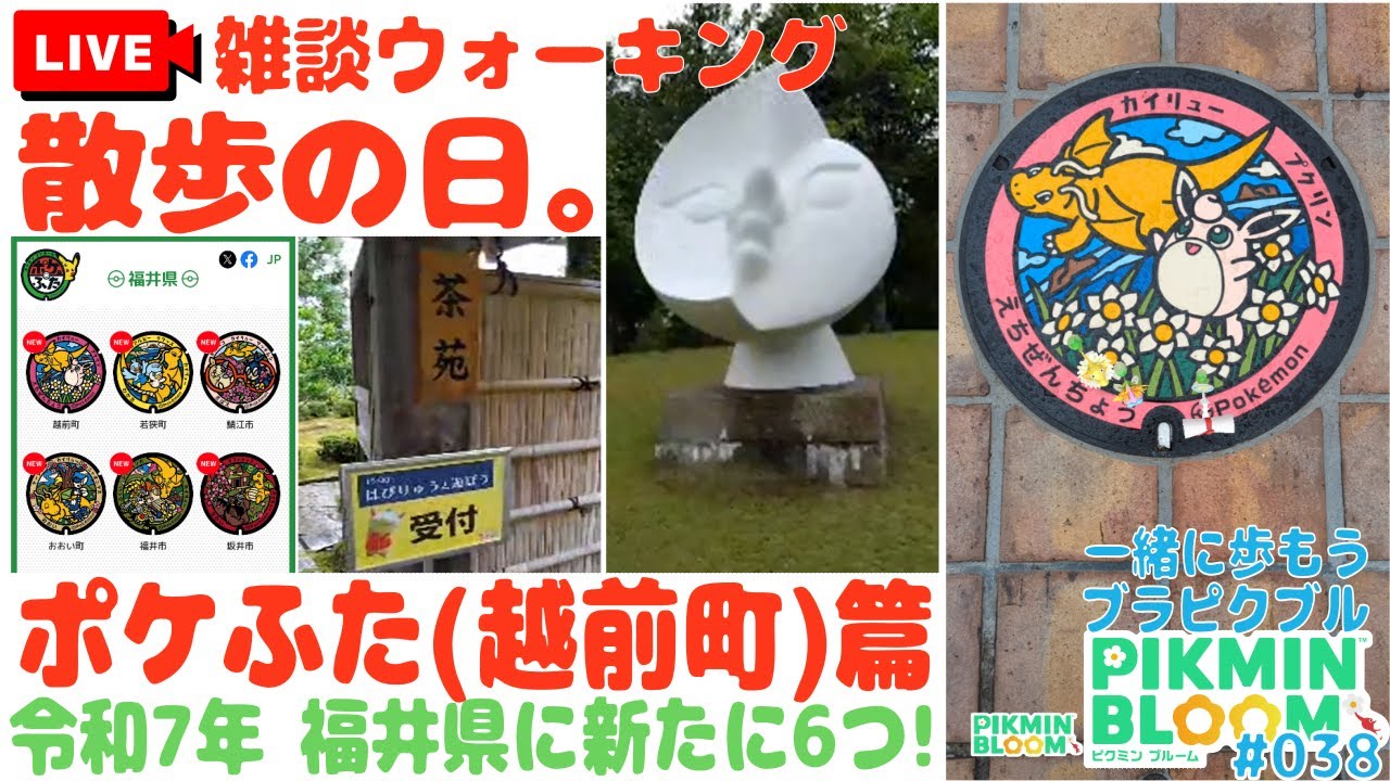 【世界最速？】ピクミンブルームの ポケふた ポスカ探し (越前町 カイリュー🦕プクリン🐹) 篇「フライング設置！ポケモンHOME メダルどこ」の巻【ど近所に新ポケふた第4弾 第38回ブラピクブル】