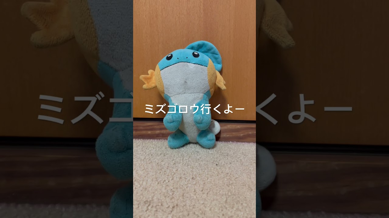 ミズゴロウとお出かけ#shorts #ミズゴロウ