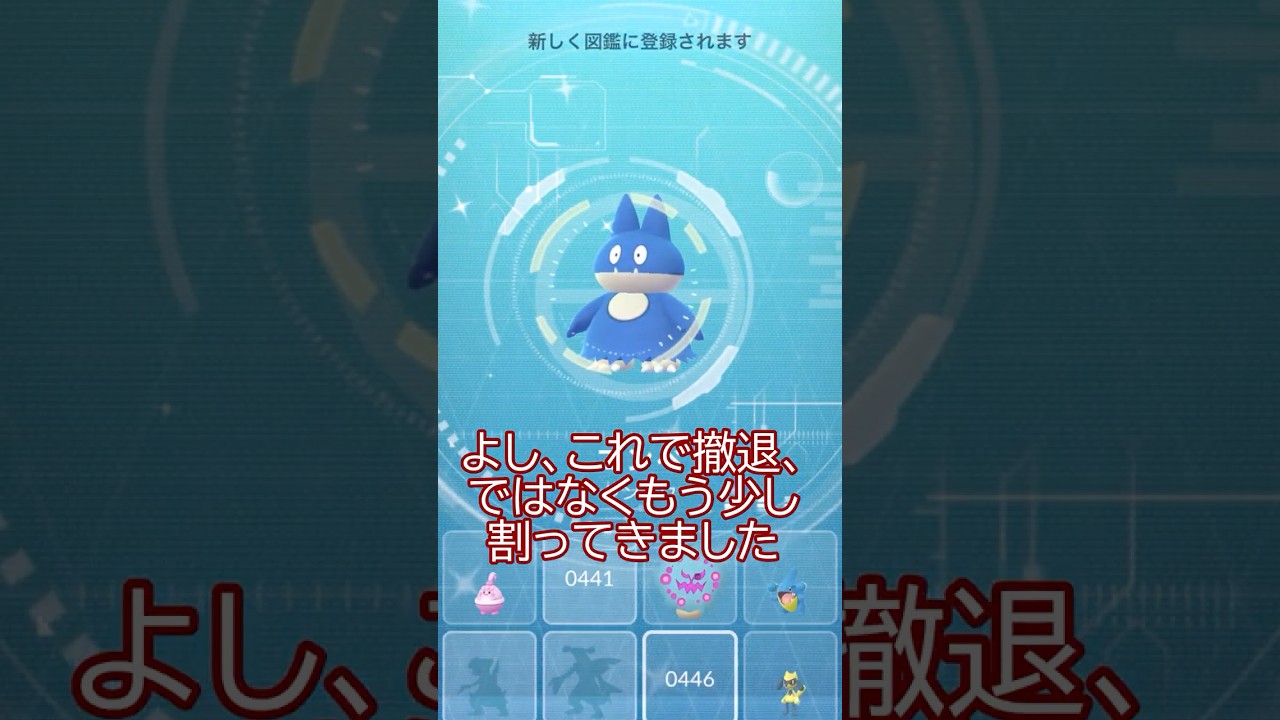 ✨ゴンベふかの日結果…📝🥚✨#ポケモンgo #pokemongo #pokemongoshorts