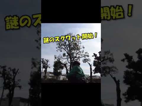 【ポケモンGO】とあるポケTuberの1日・ヤヤコマコミュニティデイ編 【#Shorts】