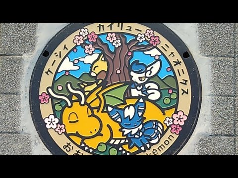 おもろかい。新ポケふたラ ス1　おおい町 カイリュー・ニャオニクス等 ピクブル調査