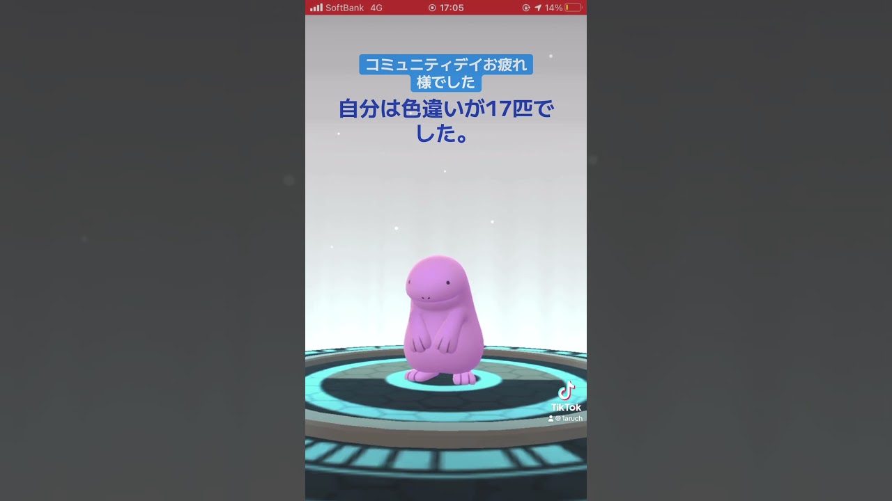 #ポケモンgo #ウパー#コミュニティデイ#ウパーコミュニティデイ#パルデアウパー　原種が9匹でパルデアが8匹でした！