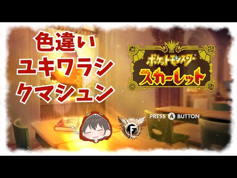 【Switch2 ポケモンSV #43】 色違いユキワラシ、クマシュン