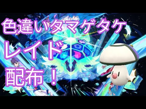 【ポケモンSV】　色違いタマゲタケ配布中