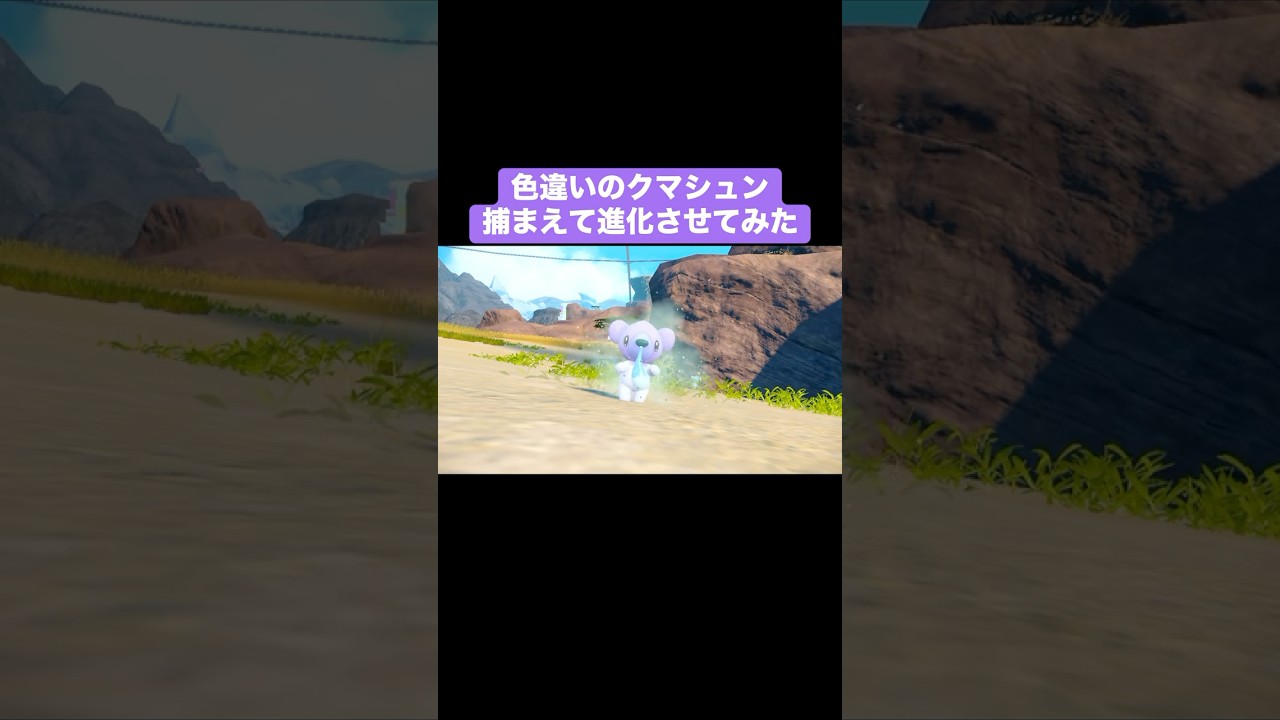 色違いのクマシュン捕まえてツンベアーにしてみた