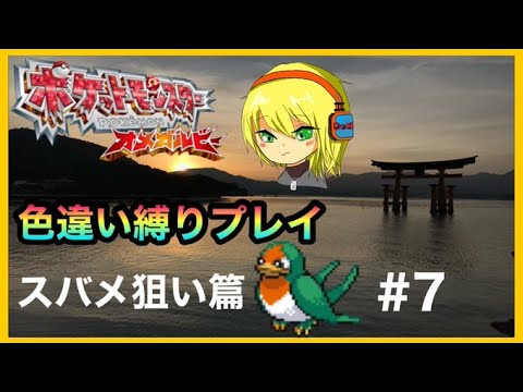 【ポケモンOR】色縛りオメガルビー＃7　スバメ狙い【生配信】