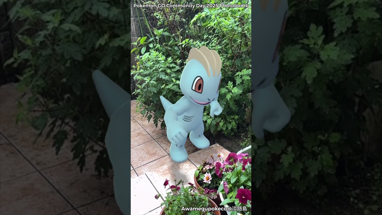ワンリキー｜Machop【ポケモンGO】PoKeMoN GO AR｜AR動画｜GOsnapshot｜gophotobomb