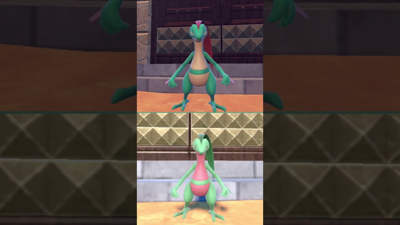 #ジュプトル  #ポケモン  #grovyle  #pokemonscarletandviolet