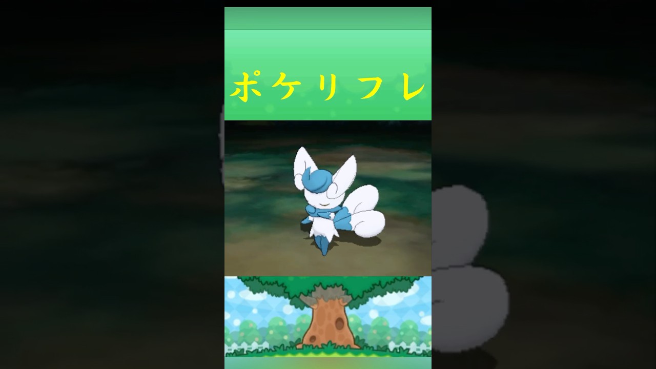 ポケモン  ニャオニクス♀ ポケリフレ ポケパルレ #ポケモン #Pokemon  #3DS #ポケモン技 #ポケモンsv #ポケモン #ふれあい