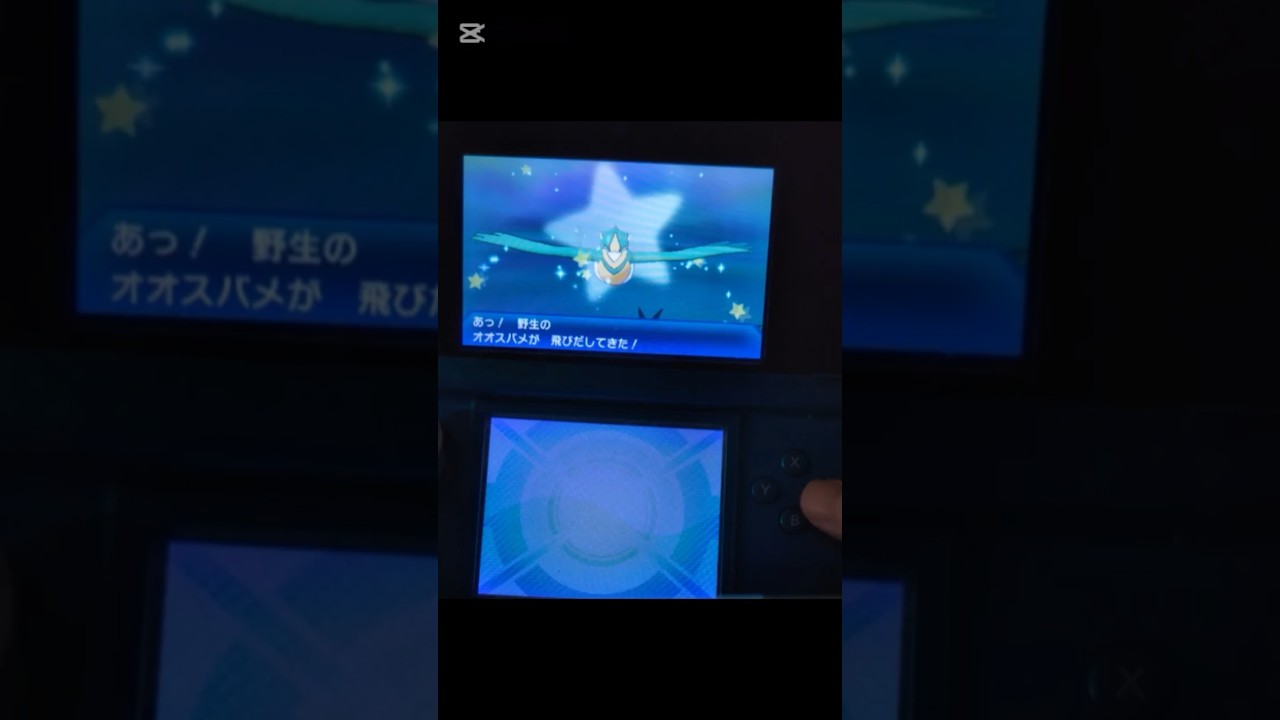 色違いオオスバメ#ウルトラホール