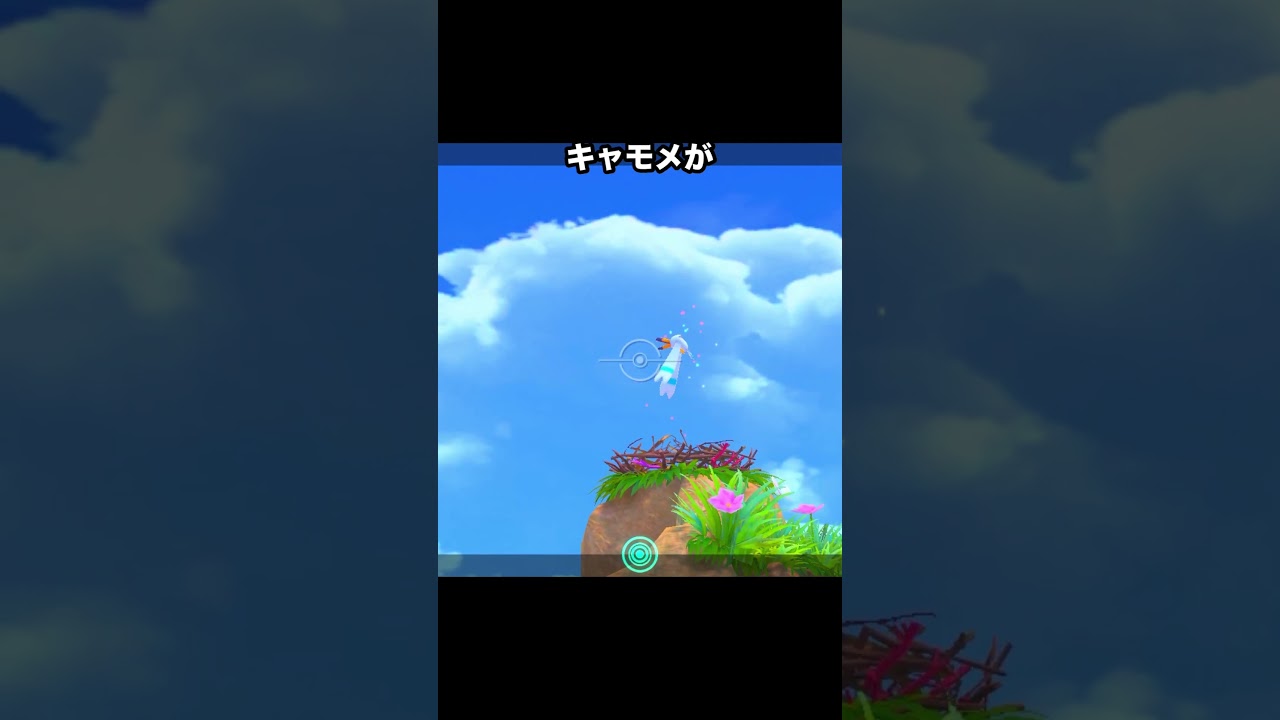 ペリッパーとキャモメの親子愛 #ポケモン #newポケモンスナップ