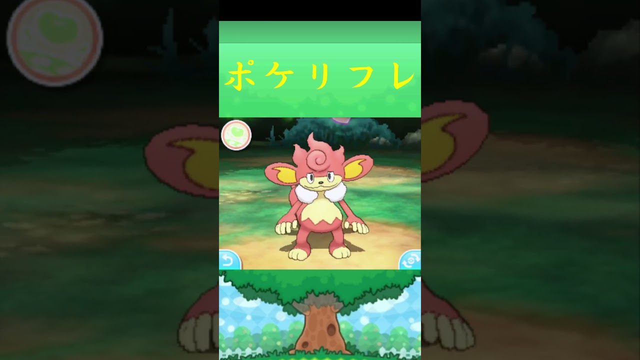 バオッキー*ポケモン ポケリフレ ポケパルレ #ポケモン #Pokemon  #3DS #nintendoswitch #ポケモンsv #ポケモン #キャンプ #サンドイッチ #ピクニック