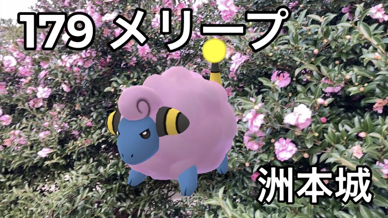 【ポケGO動くポケモンずかん】179メリープ｜Mareep｜ShinyPokémon【ポケモンGO】PoKeMoN GO AR｜AR動画｜GOsnapshot｜PokemonGO｜淡路島