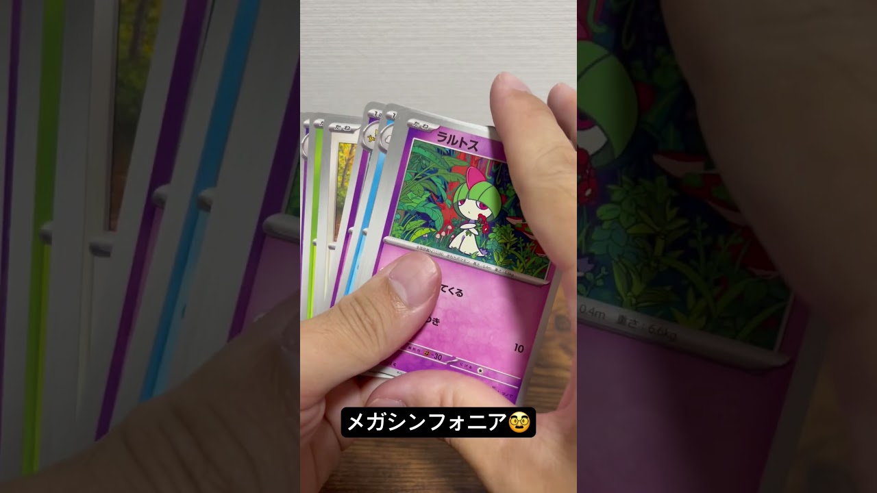 御三家チコリータ🥳#ポケモンカード #ポケカ #ポケモン #ポケカ開封