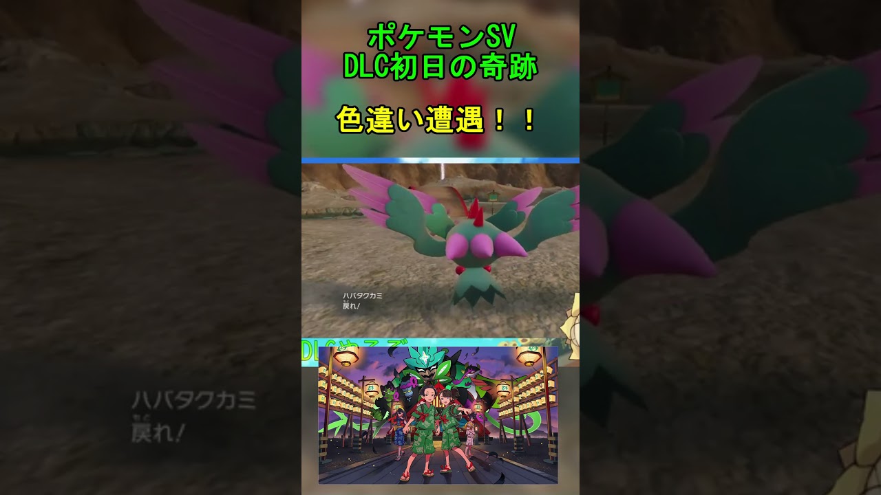 【ポケモンSV】ゼロの秘宝で初遭遇！！#shorts  #キマワリ #ポケモンsv