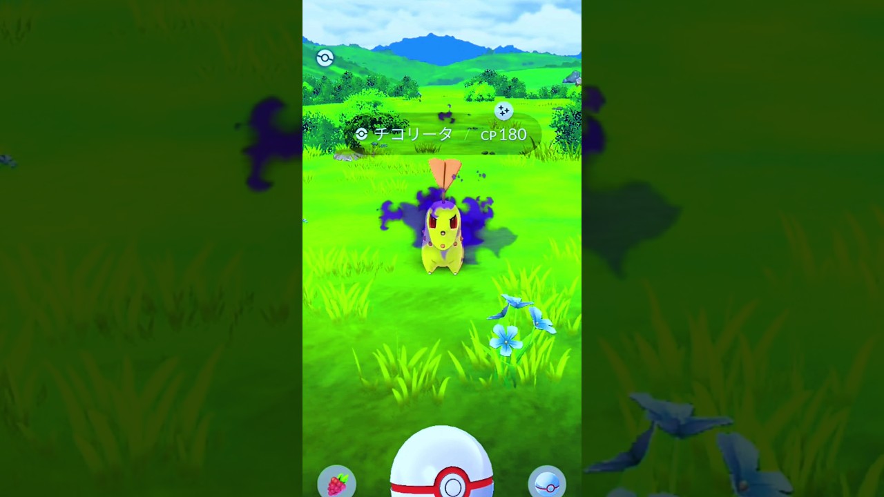 ポケモンGO色違いシャドウチコリータゲット！#ポケモン #ポケモンgo #ゲーム実況