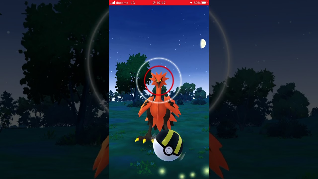 ガラルサンダー出現　getなるか‼︎ (2025年8月3日)