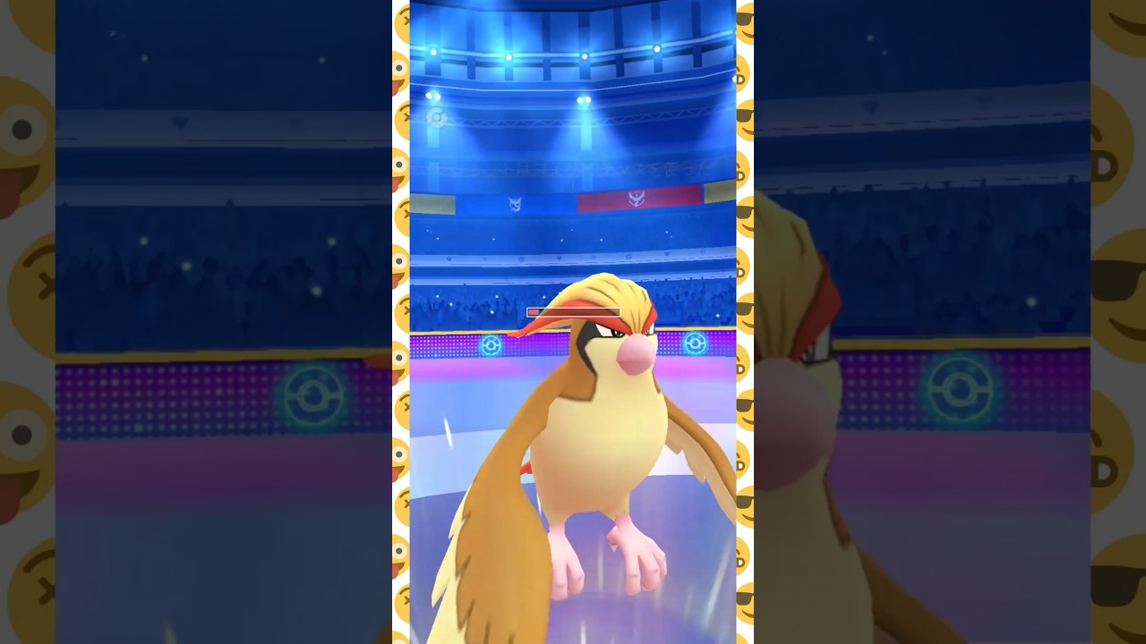 #フェザーダンス型ピジョットは安定！#ポケモンgo #ポケモン #pokemongo
