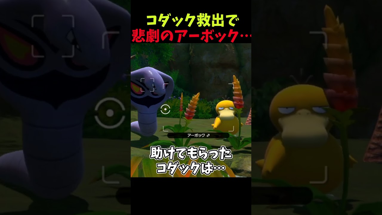 コダック救出で悲劇のアーボック…【New ポケモンスナップ】#ポケモン  #shorts