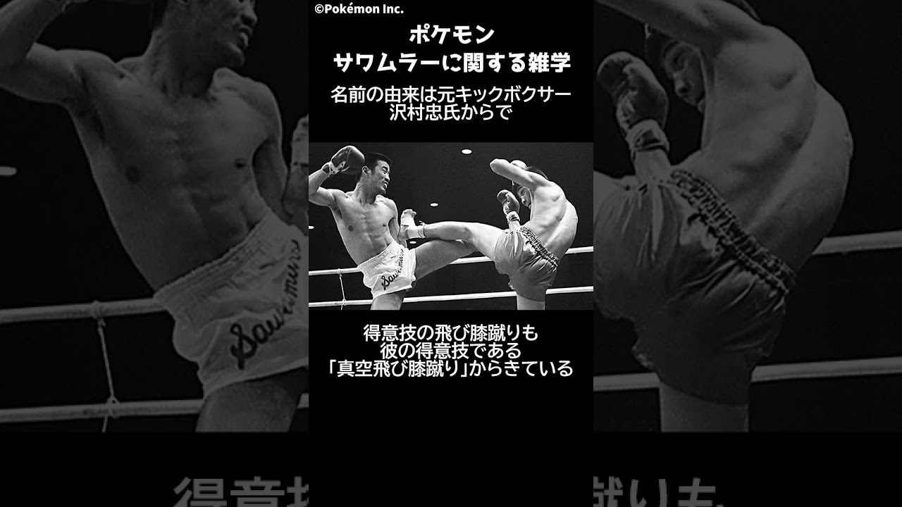 ポケモン 1分でわかるサワムラーに関する雑学・豆知識 Pokemon #ポケモン #pokemon #ポケットモンスター