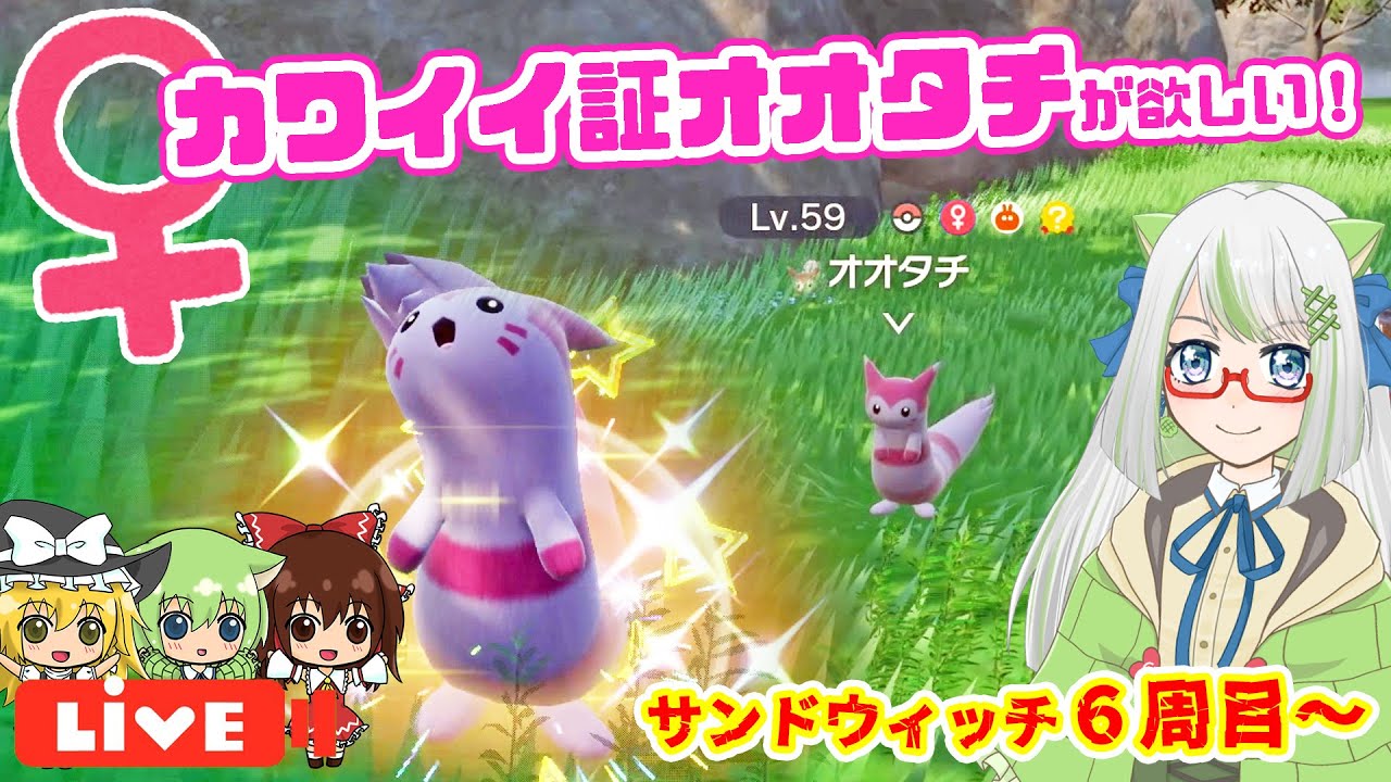 カワイイ♀色証オオタチちゃんに癒やされたいっ！！✨【ポケモン実況】 #switch2 #ポケモン #色違い