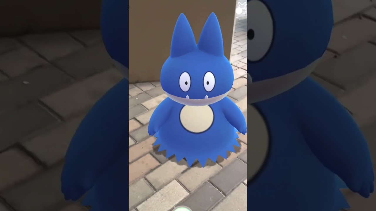 、、ど、どうなってるの！？#ポケモンGO#色違いゴンベ#pokemongo