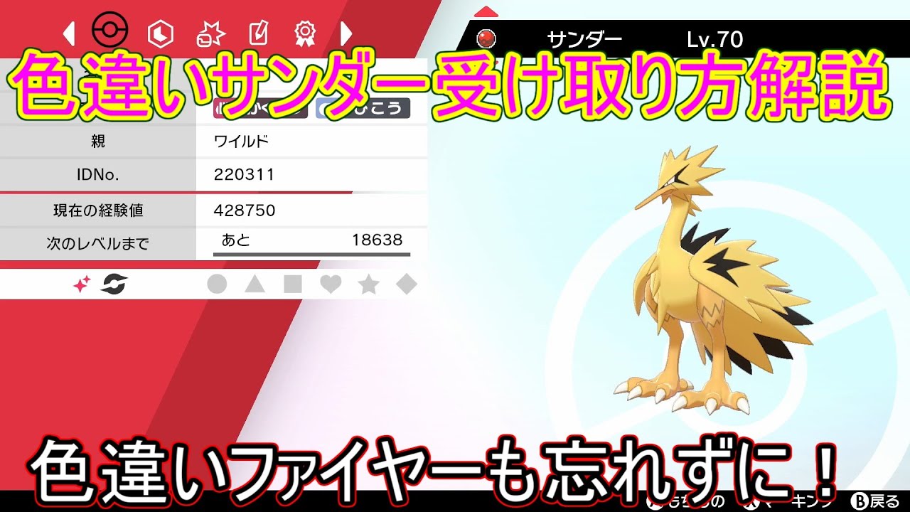 【ポケモン剣盾】配布色違いガラルサンダー受け取り方解説！色違いガラルファイヤーが貰える大会のエントリーも忘れずに！【ガラル三鳥/攻略/実況/大会/ふしぎなおくりもの】【ソード/シールド】