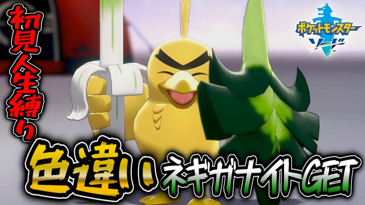 【初見人生縛り】色違いネギガナイトと仲間たちが育ったのでいい加減進める配信【ポケットモンスターソード】