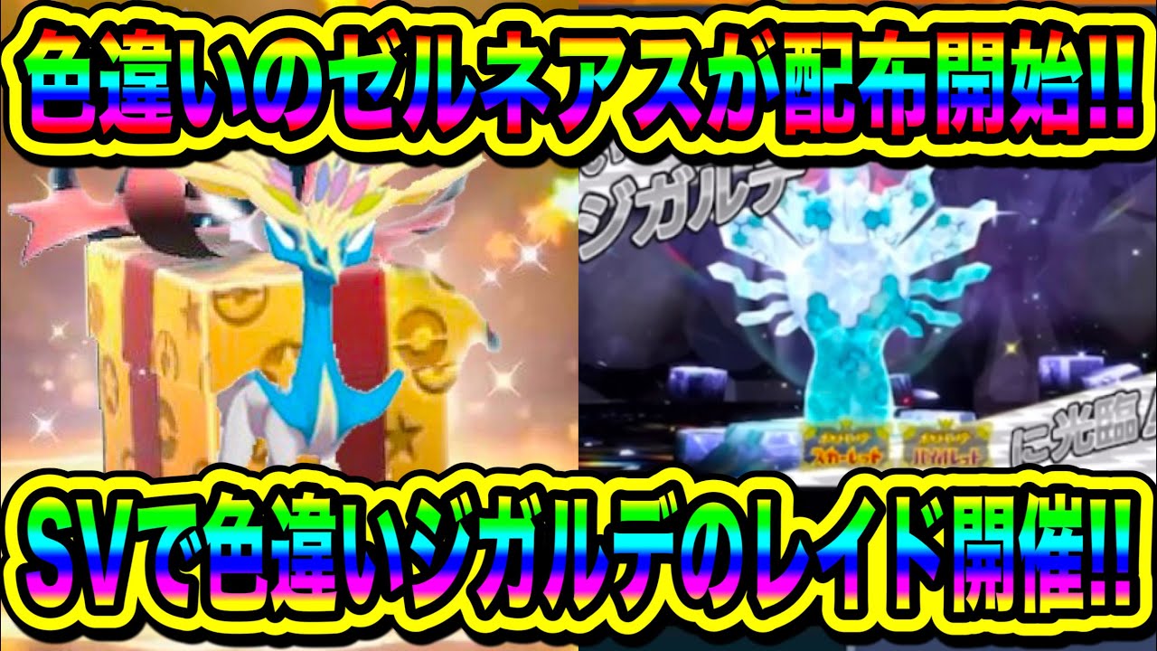 【緊急速報】SVで配布開始！色違いのゼルネアスが配布開始！SVで色違いジガルデのレイド開催について！！グラードン配布開始！！【ポケモンSV/スカーレット/バイオレット/ポケモンGO】