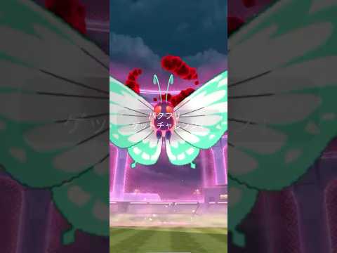 【Pokémon GO】 キョダイマックス バタフリー GET✨ 2体目