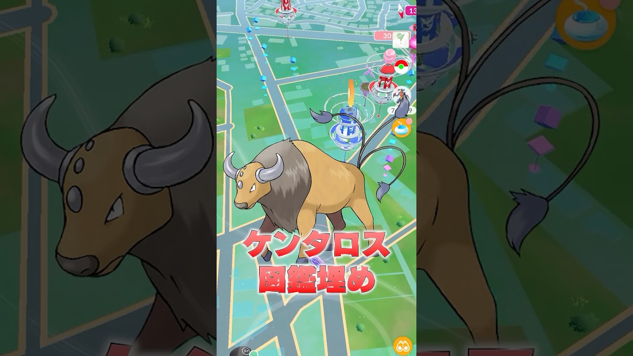 日本にもケンタロスが出現、これはゲットするしかない #ポケモンgo #ポケモン #pokemongo