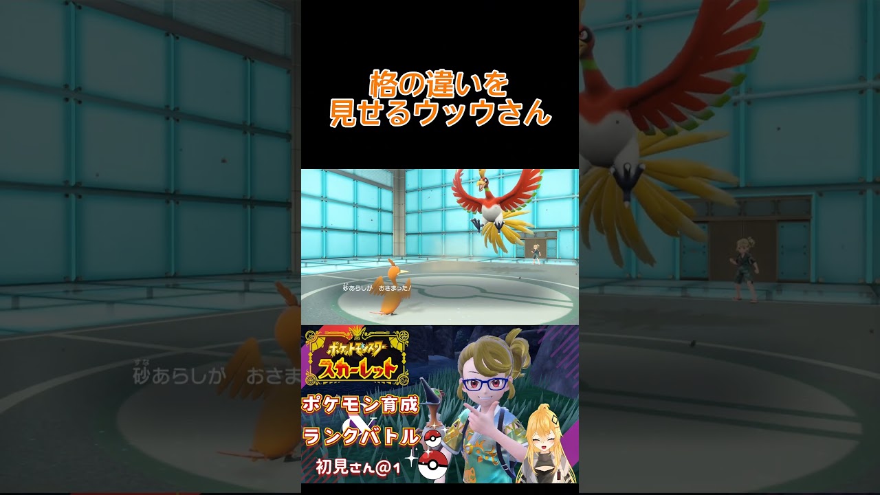格の違いを見せつけるウッウさん  #ポケモン #ポケモンsv #ウッウ