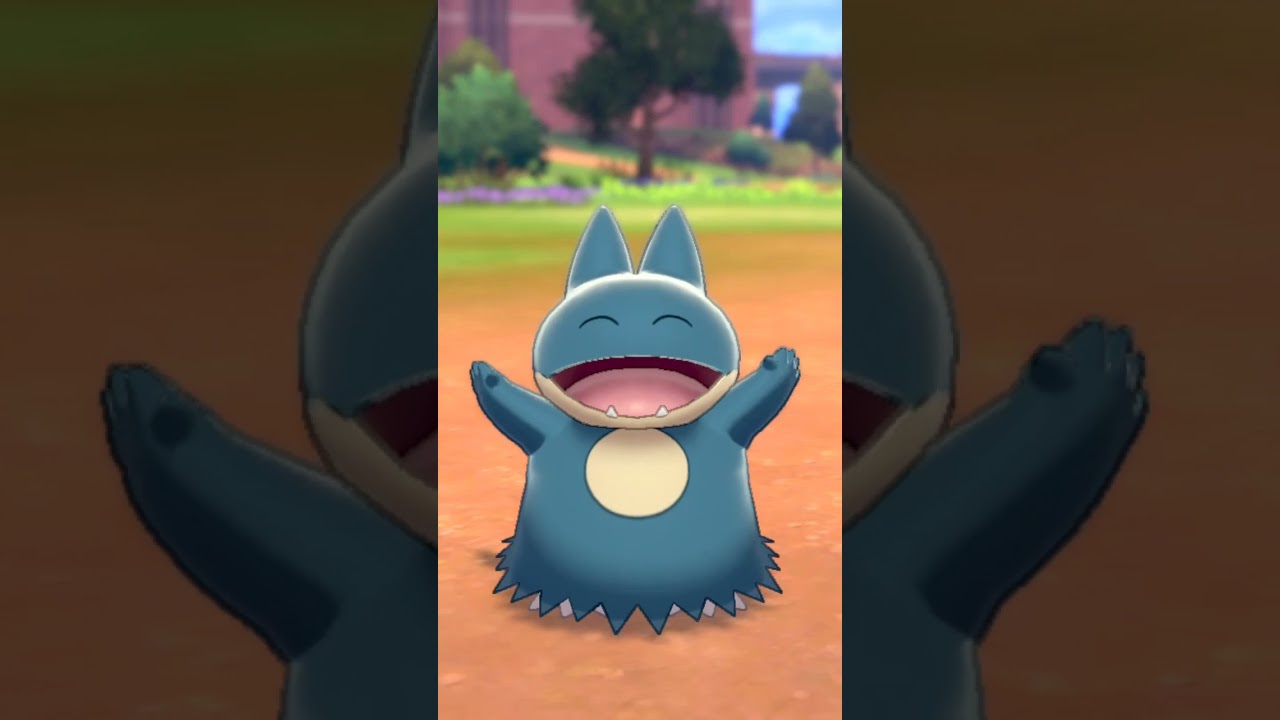 ゴンベ Munchlax【ポケモン剣盾】
