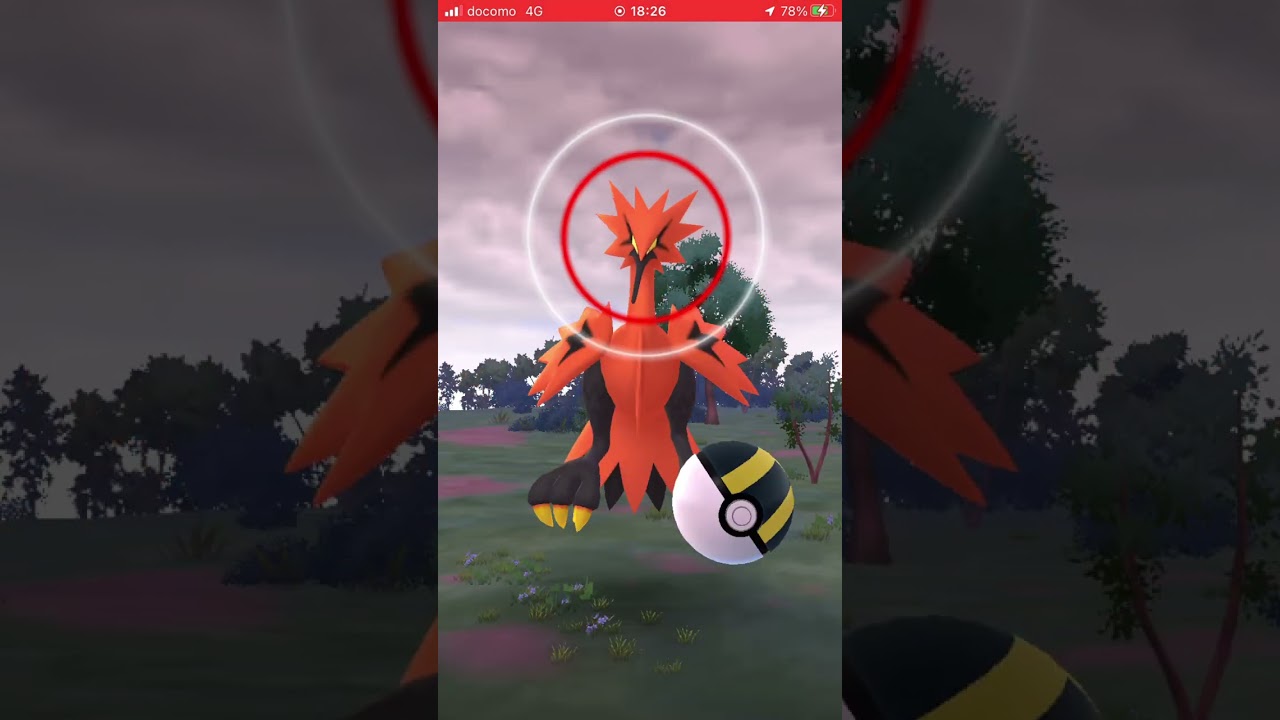 ガラルサンダー出現getなるか？(2025年8月17日)