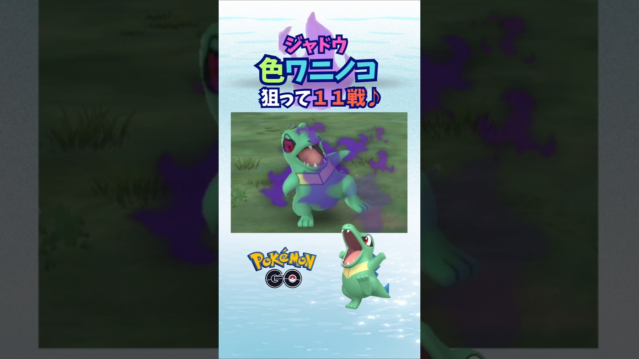 色違いシャドウワニノコ狙って１１戦♪【ポケモンGO】