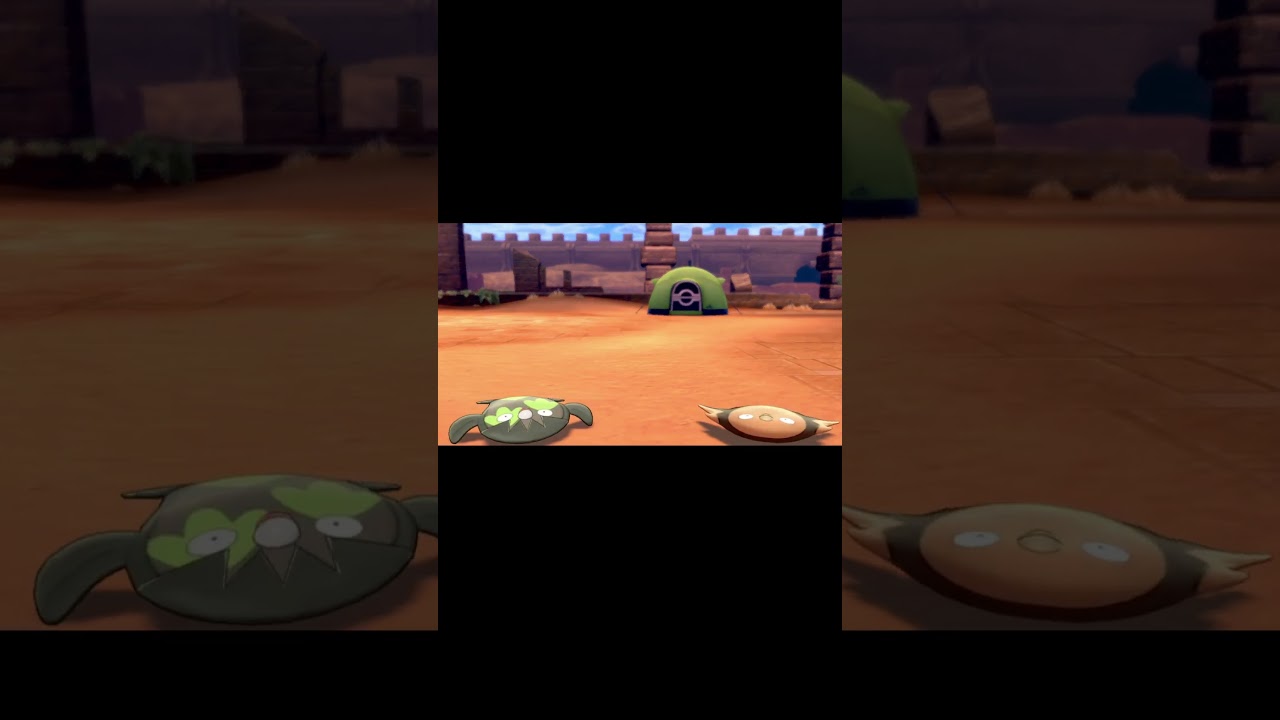 こちらに向かってやってくるマッギョ　#Shorts