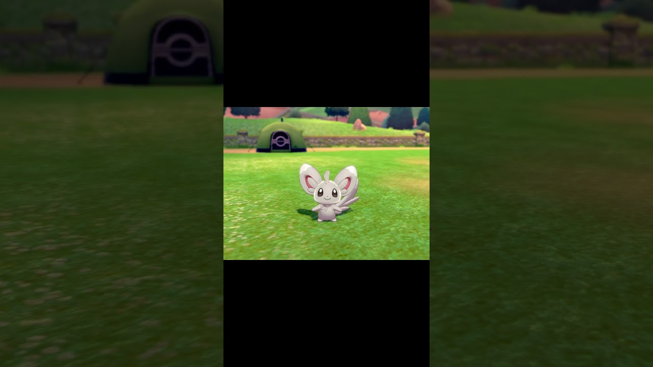 駆け寄ってくるチラーミィ　#Shorts