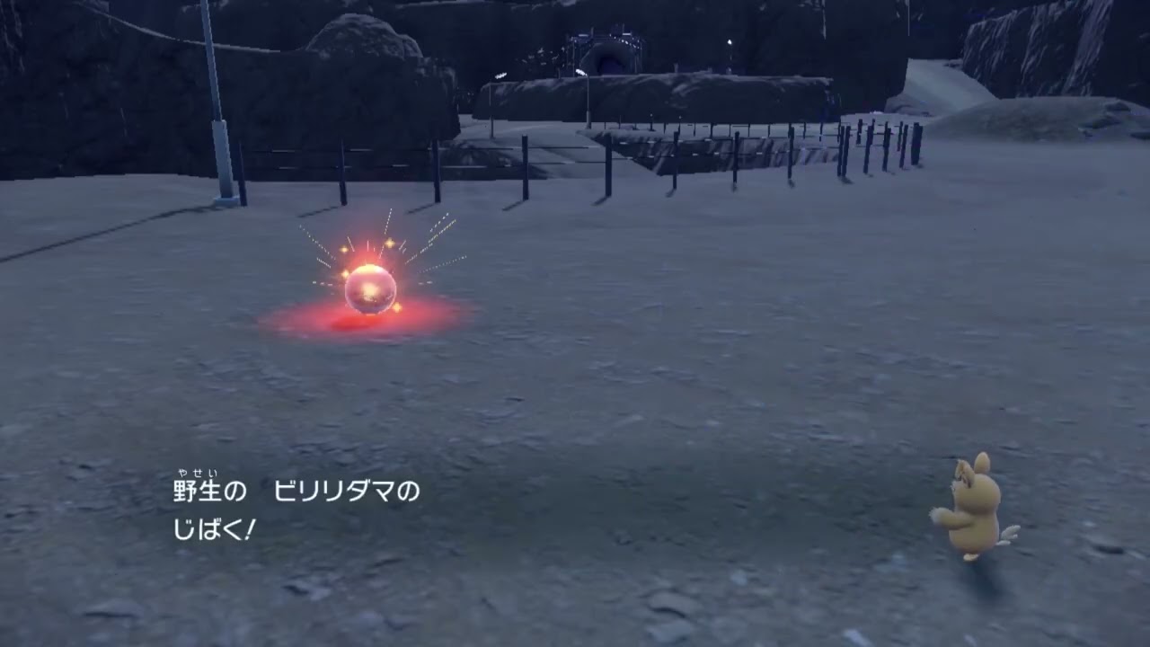 お、ビリリダマだー！.....って、自爆すなーw  よし、今度は戦って捕獲するぞ！......こりゃー！w  ポケモンSV PokemonSV
