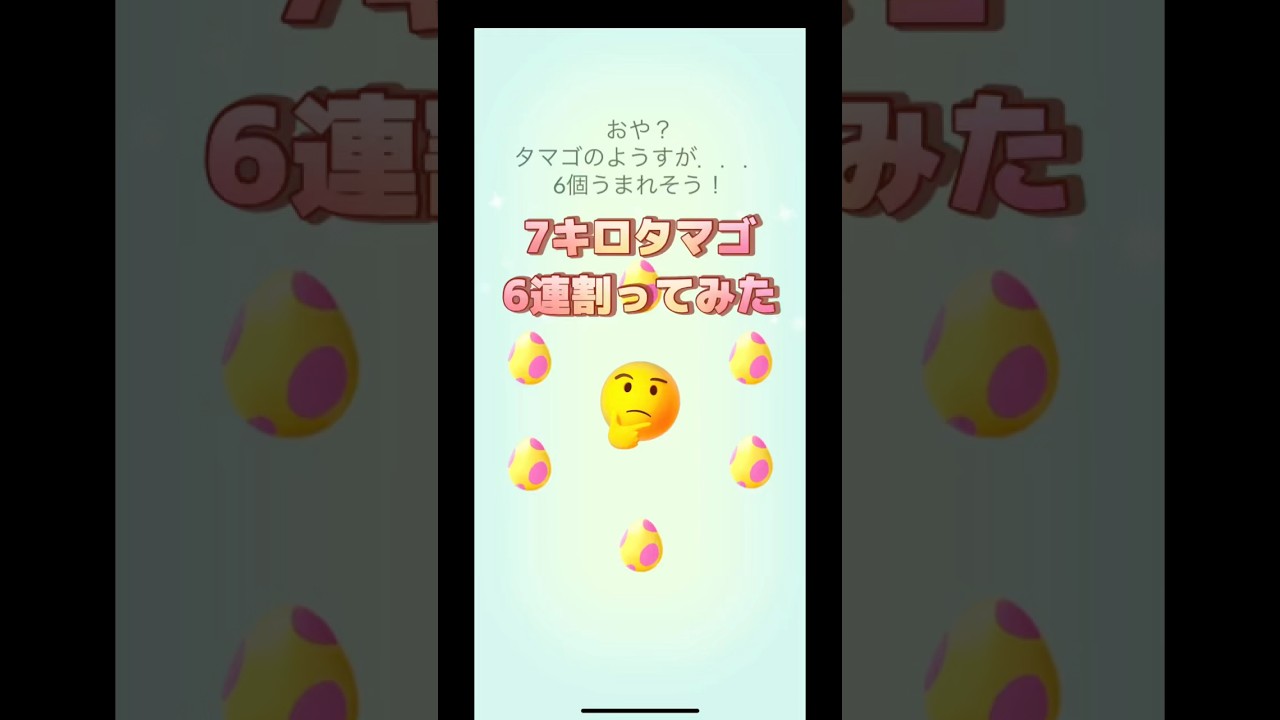 7キロタマゴ今度は間違いなくユキハミ入ってるやつ6連割ってみた🤣