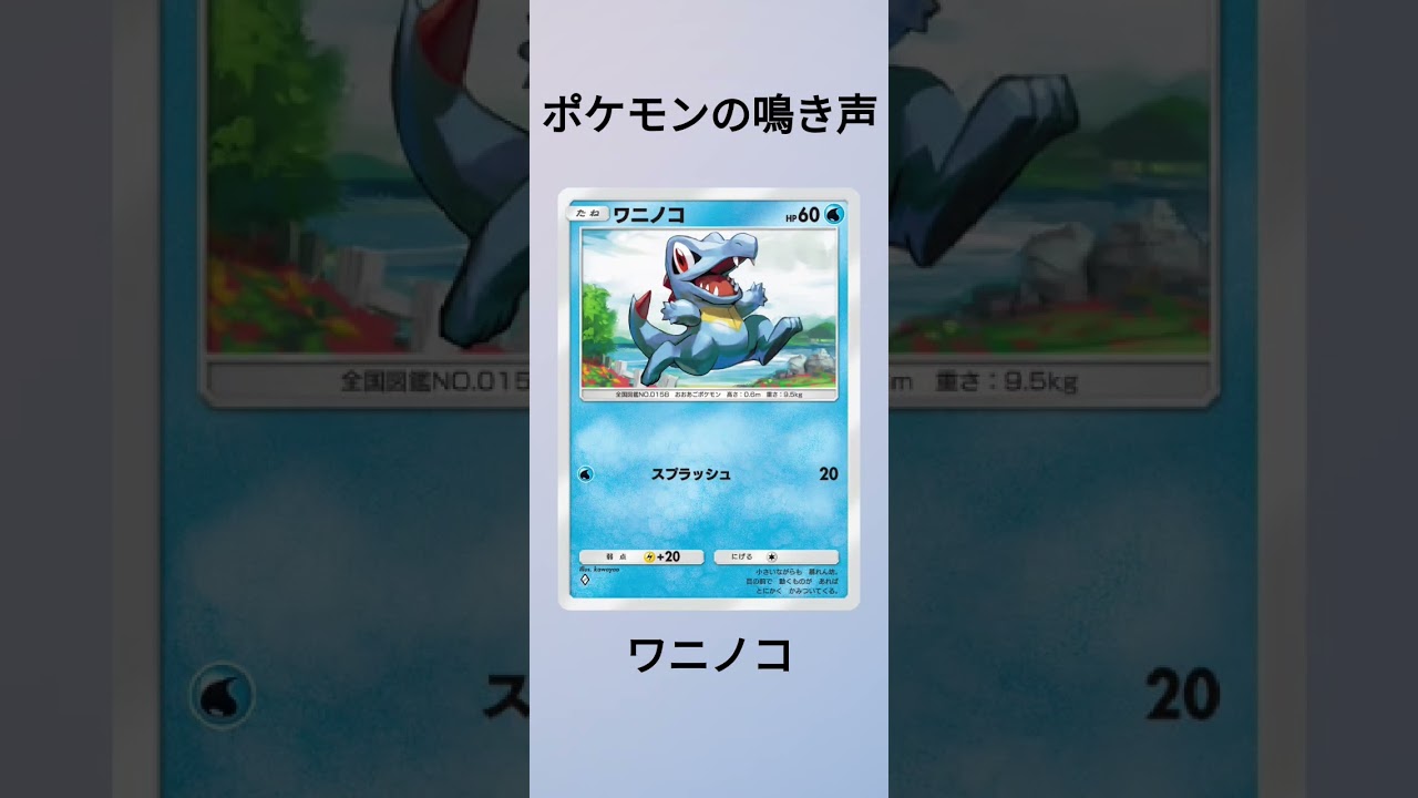 ポケモンの鳴き声・ワニノコ。