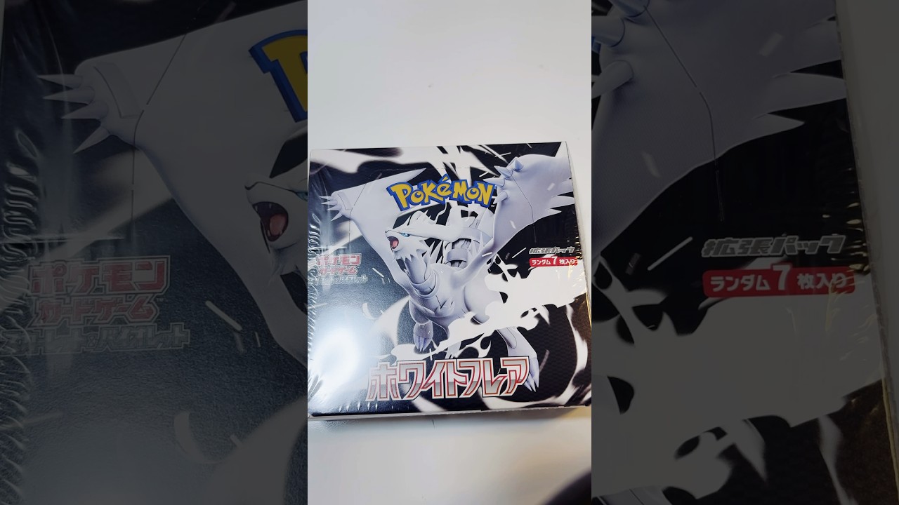 ホワイトフレア1BOX開封 #ポケモンカード #ポケカ #ポケカ開封 #ポケモン #pokemon #pokemoncards #声優 #ホワイトフレア #ボックス開封 #レシラム