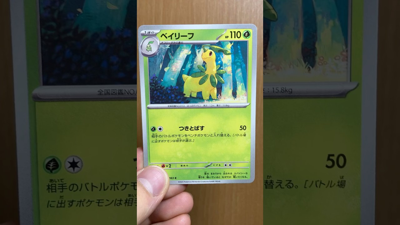 ベイリーフのカードを見て楽しむ #ポケカ #メガシンフォニア
