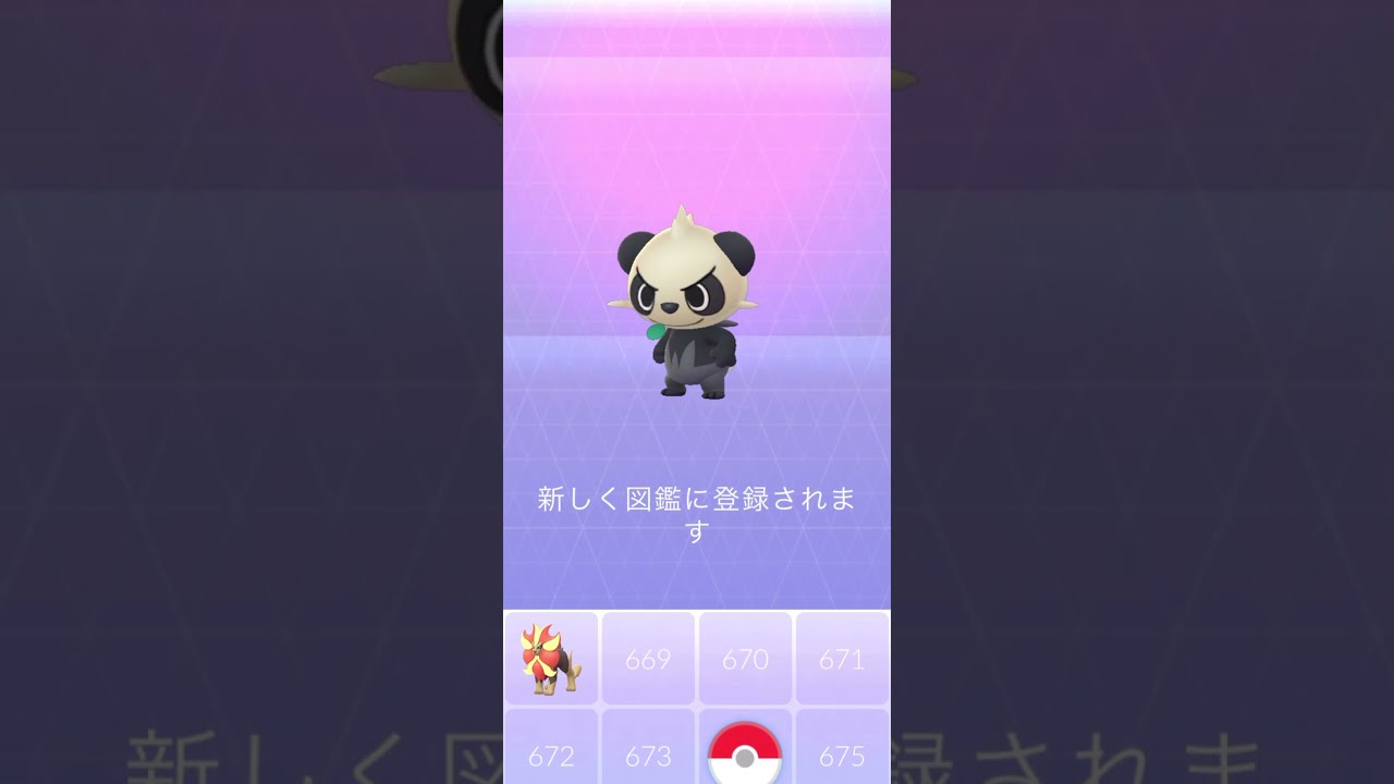 【Pokémon GO】Pancham GET✨