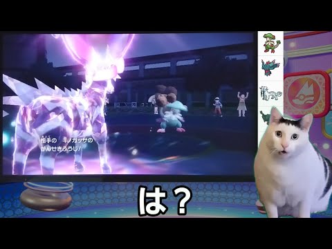 【ポケモンSV】∞さん式ゼブライカのつかいかた(おまけパートのみ)【猫ミーム】